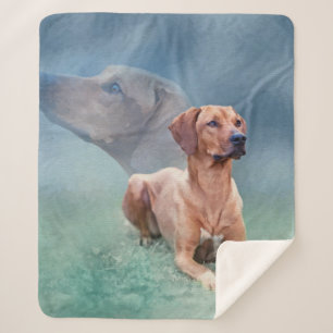 Rhodesian Ridgeback Hundecollage Sherpadecke