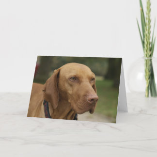 Rhodesian Ridgeback Hundegruß-Karte Karte