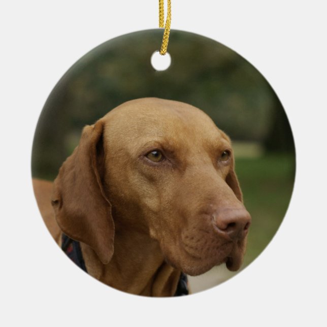 Rhodesian Ridgeback Hundeverzierung Keramik Ornament (Vorne)