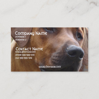 Rhodesian Ridgeback HundeVisitenkarte Visitenkarte
