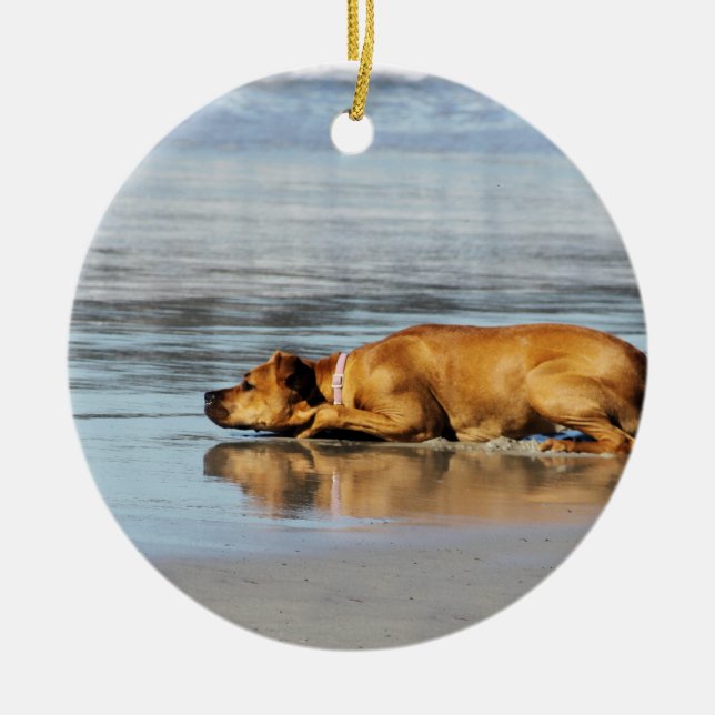 Rhodesian Ridgeback - ist das Wasser kalt? Keramikornament (Vorne)
