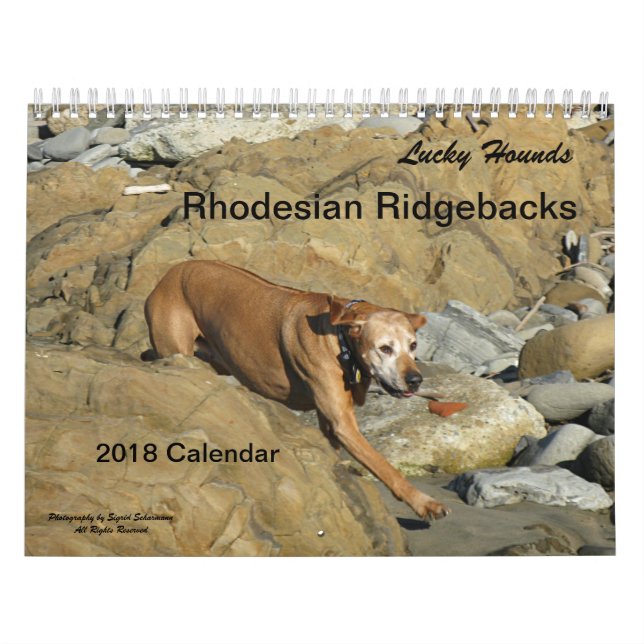 Rhodesian Ridgeback Kalender 2018 (Titelbild)