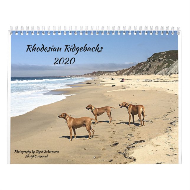 Rhodesian Ridgeback Kalender 2020 (Titelbild)