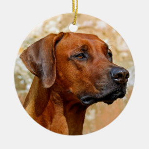 Rhodesian Ridgeback Keramik Ornament