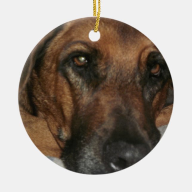 Rhodesian Ridgeback Keramikornament (Vorne)