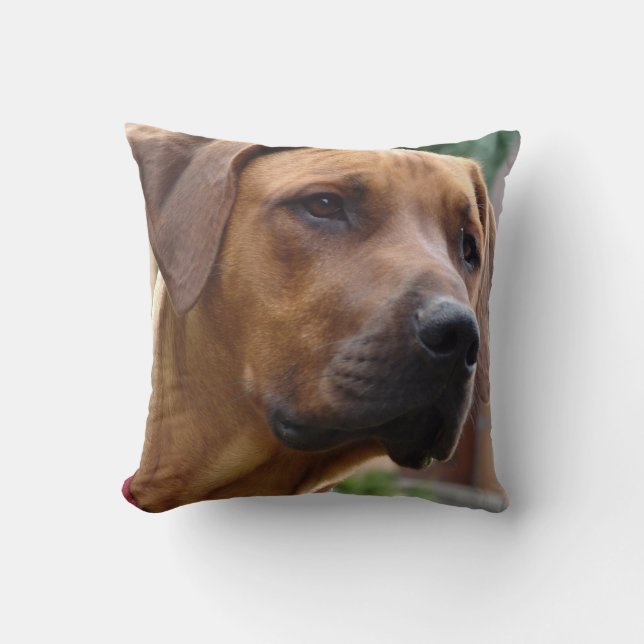 Rhodesian Ridgeback Kissen (Vorderseite)