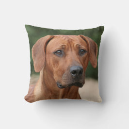 Rhodesian Ridgeback kussen Kissen