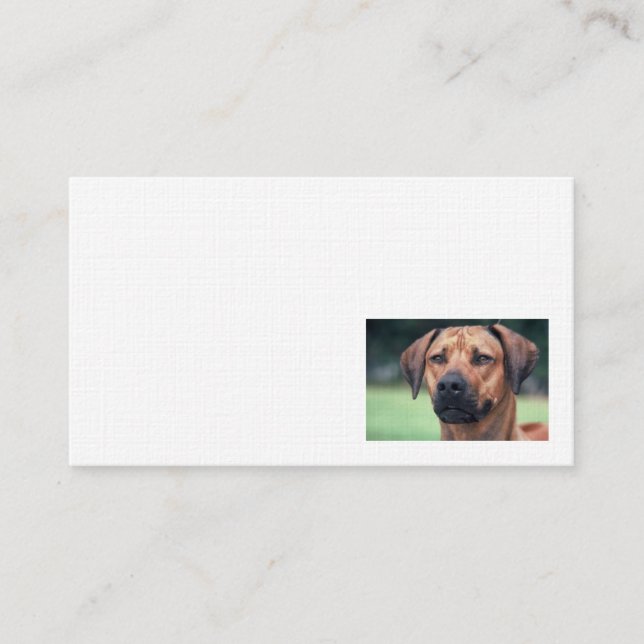 Rhodesian Ridgeback Leinen-Visitenkarte Visitenkarte (Vorderseite)