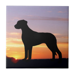 Rhodesian Ridgeback LumineszenzSilhouette Fliese