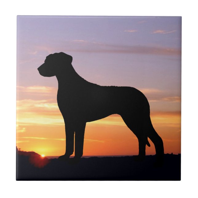 Rhodesian Ridgeback LumineszenzSilhouette Fliese (Vorderseite)