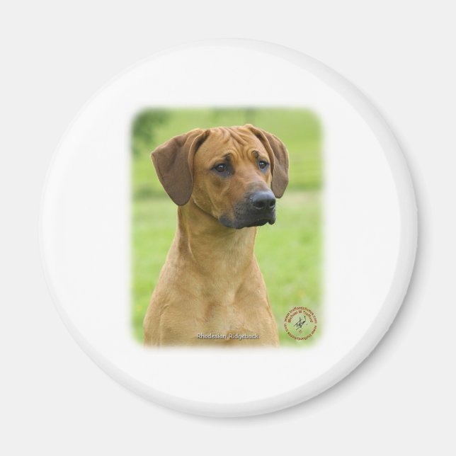Rhodesian Ridgeback Magnet (Vorne)