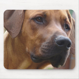Rhodesian Ridgeback Mausunterlage Mousepad