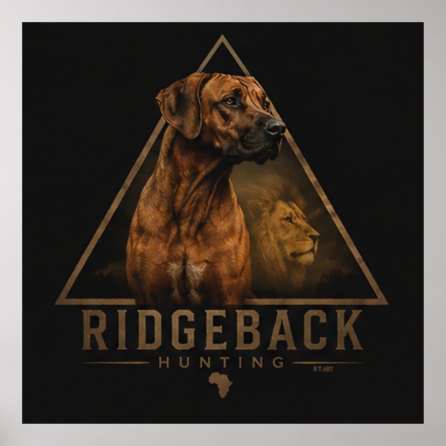 Rhodesian Ridgeback mit Löwe    Poster (Vorne)