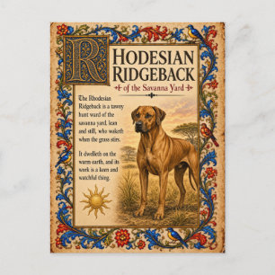Rhodesian Ridgeback, mittelalterliche Bestiarien-K Postkarte