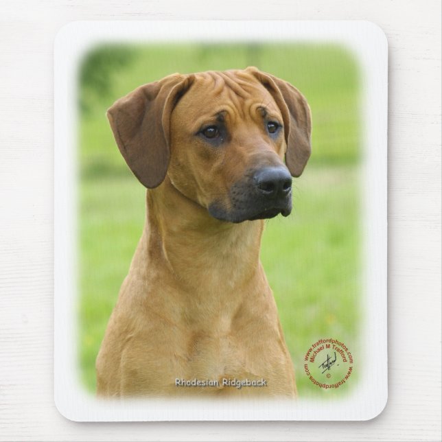 Rhodesian Ridgeback Mousepad (Vorne)