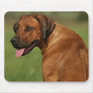 Rhodesian Ridgeback Mousepad