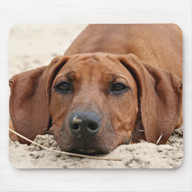 Rhodesian Ridgeback Muismat Mousepad (Vorne)