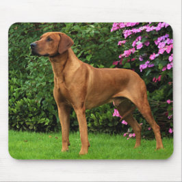 Rhodesian Ridgeback Muismat Mousepad