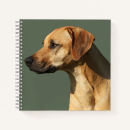 Rhodesian Ridgeback Notizbuch
