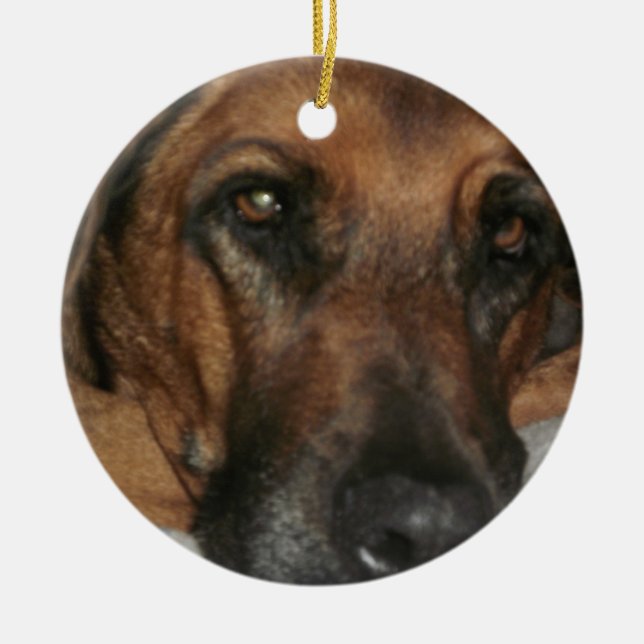 Rhodesian Ridgeback Ornament (Vorne)