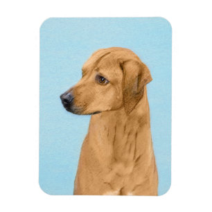 Rhodesian Ridgeback Painting - Original Dog Art Magnet