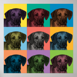 Rhodesian Ridgeback Pop-Art Poster