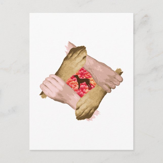 Rhodesian Ridgeback Postkarte (Vorderseite)