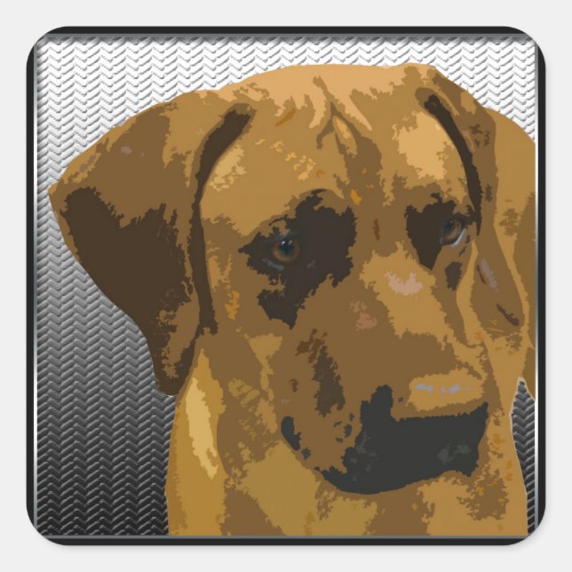 Rhodesian Ridgeback Quadratischer Aufkleber (Vorderseite)