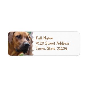 Rhodesian Ridgeback Rücksendeadresse-Aufkleber