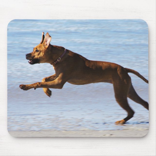 Rhodesian Ridgeback - Sprung Mousepad (Vorne)
