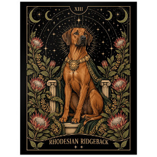 Rhodesian Ridgeback, Sternen-Tarot-Kunst Postkarte