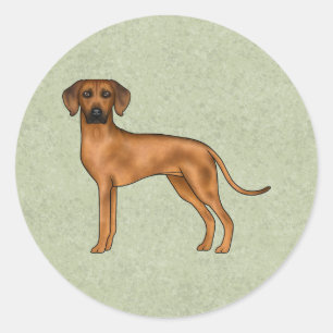 Rhodesian Ridgeback Süßer Afrikanischer Löwenhund  Runder Aufkleber