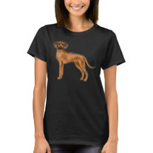 Rhodesian Ridgeback Süßer Brauner Afrikanischer Lö