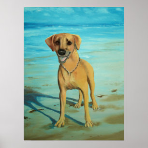Rhodesian Ridgeback "Tony" lächelt Poster
