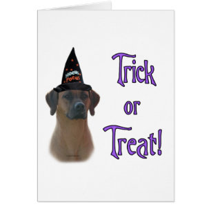 Rhodesian Ridgeback Trick