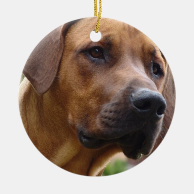 Rhodesian Ridgeback Verzierung Keramik Ornament (Vorne)