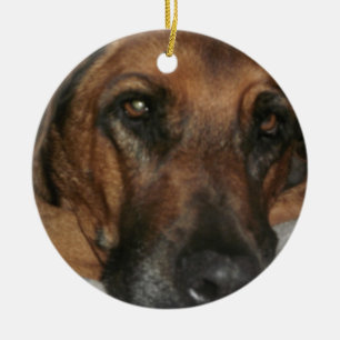 Rhodesian Ridgeback Verzierung Keramikornament
