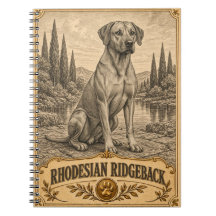 Rhodesian Ridgeback, Vintage Heritage Hund