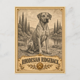 Rhodesian Ridgeback, Vintage Heritage Hund Postkarte