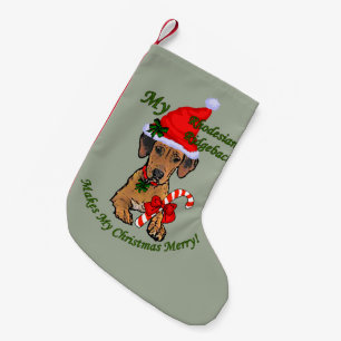 Rhodesian Ridgeback Weihnachten Kleiner Weihnachtsstrumpf