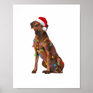 Rhodesian Ridgeback Weihnachtsbeleuchtung Xmas Hun Poster