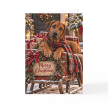 Rhodesian-Ridgeback-Weihnachtskarte
