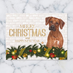 Rhodesian Ridgeback Weihnachtspostkarte Feiertagspostkarte