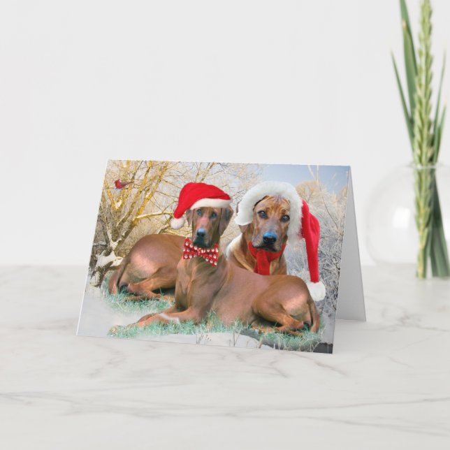 Rhodesian Ridgeback Weihnachtsszenenkarten Feiertagskarte (Vorderseite)