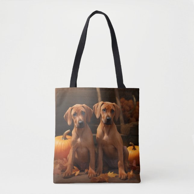 Rhodesian Ridgeback Welpe Herbstfreude Kürbis  (Vorderseite)