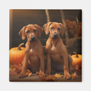 Rhodesian Ridgeback Welpe Herbstfreude Kürbis Magnet