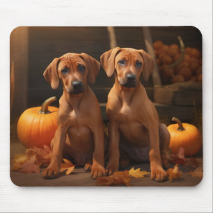 Rhodesian Ridgeback Welpe Herbstfreude Kürbis Mousepad