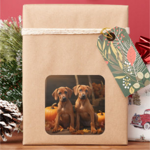 Rhodesian Ridgeback Welpe Herbstfreude Kürbis Quadratischer Aufkleber