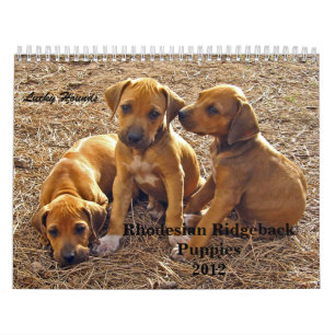 Rhodesian Ridgeback Welpen 2012 Kalender