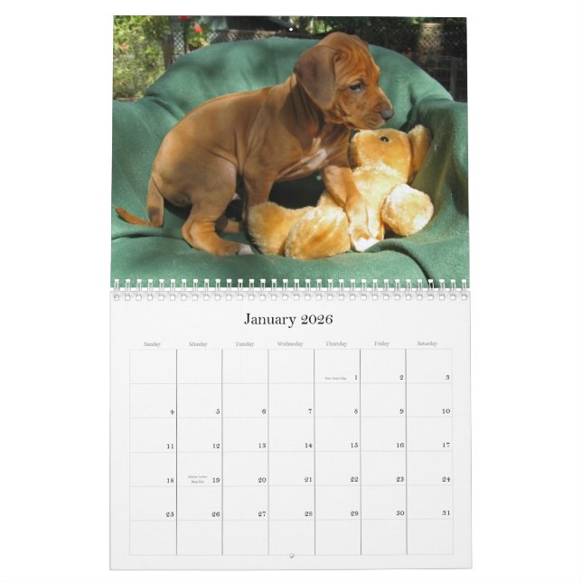 Rhodesian Ridgeback Welpen 2013 Kalender (Jan 2026)